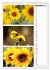 Zauberhafte Farben der Natur... - Bild 15