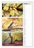 Zauberhafte Farben der Natur... - Bild 3