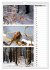 Zauberhafte Farben der Natur... - Bild 5