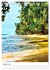 Faszination Costa Rica (Tischkalender... - Bild 14