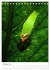 Faszination Costa Rica (Tischkalender... - Bild 8