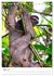 Faszination Costa Rica (Tischkalender... - Bild 10