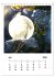Frostige Seifenblasen (Tischkalender... - Bild 13