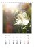 Frostige Seifenblasen (Tischkalender... - Bild 4
