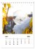 Frostige Seifenblasen (Tischkalender... - Bild 10
