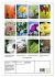 Licht Farbe Natur (Wandkalender 2026... - Bild 6