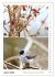 Vogel-Paare (Wandkalender 2026 DIN A3... - Bild 10