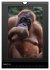 Fotogalerie Fotogalerie