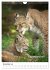Der eurasische Luchs (Wandkalender 2026... - Bild 4