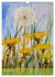 Karl Sock Blumenaquarelle (Wandkalender... - Bild 15
