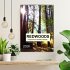 Redwoods - Faszination Mammutbäume... - Bild 2
