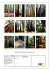 Redwoods - Faszination Mammutbäume... - Bild 6
