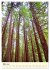 Redwoods - Faszination Mammutbäume... - Bild 9