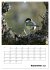 Amsel, Drossel, Fink und Star -... - Bild 14
