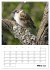 Amsel, Drossel, Fink und Star -... - Bild 8