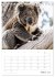 g'day Australien 2026 (Tischkalender... - Bild 9
