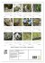 Amsel, Drossel, Fink und Star -... - Bild 6