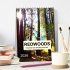Redwoods - Faszination Mammutbäume... - Bild 2