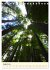 Redwoods - Faszination Mammutbäume... - Bild 14