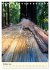 Redwoods - Faszination Mammutbäume... - Bild 3