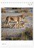 BIG CATS - Namibias Raubkatzen... - Bild 10