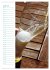 Bier (hochwertiger Premium Wandkalender... - Bild 11