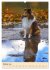 Mit Shelties durchs Jahr (Wandkalender... - Bild 3