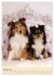 Mit Shelties durchs Jahr (Wandkalender... - Bild 7