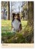 Mit Shelties durchs Jahr (Wandkalender... - Bild 8
