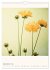 Blumige Fotomalerei (Wandkalender 2026... - Bild 15