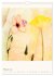 Blumige Fotomalerei (Wandkalender 2026... - Bild 8