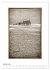 Nordseebrise - Bezauberndes... - Bild 7