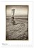 Nordseebrise - Bezauberndes... - Bild 8