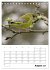 Amsel, Drossel, Fink und Star -... - Bild 14