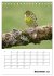 Amsel, Drossel, Fink und Star -... - Bild 5