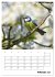 Amsel, Drossel, Fink und Star -... - Bild 8