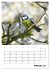 Amsel, Drossel, Fink und Star -... - Bild 8