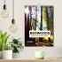 Redwoods - Faszination Mammutbäume... - Bild 2