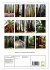 Redwoods - Faszination Mammutbäume... - Bild 6