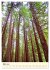 Redwoods - Faszination Mammutbäume... - Bild 9
