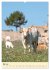 Mein Sizilien erleben (Wandkalender... - Bild 11