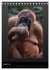 Fotogalerie Fotogalerie