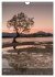 Naturparadies Neuseeland (Wandkalender... - Bild 10