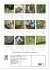 Amsel, Drossel, Fink und Star -... - Bild 6