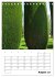Am Gardasee (Tischkalender 2026 DIN A5... - Bild 14