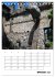 Am Gardasee (Tischkalender 2026 DIN A5... - Bild 3