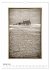 Nordseebrise - Bezauberndes... - Bild 7