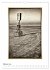 Nordseebrise - Bezauberndes... - Bild 8