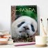Riesenpanda (Tischkalender 2026 DIN A5... - Bild 2
