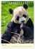 Riesenpanda (Tischkalender 2026 DIN A5... - Bild 3